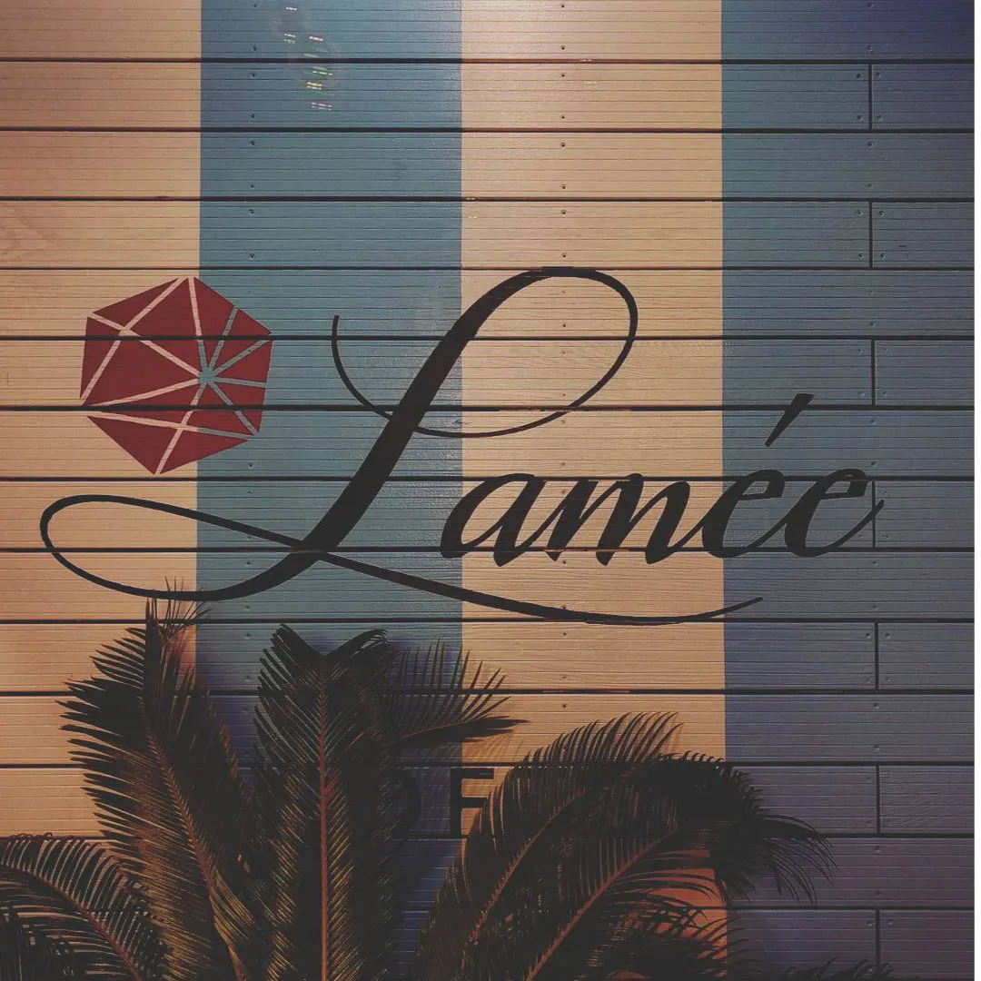 Hotel TOPAZZ LAMÉE project image