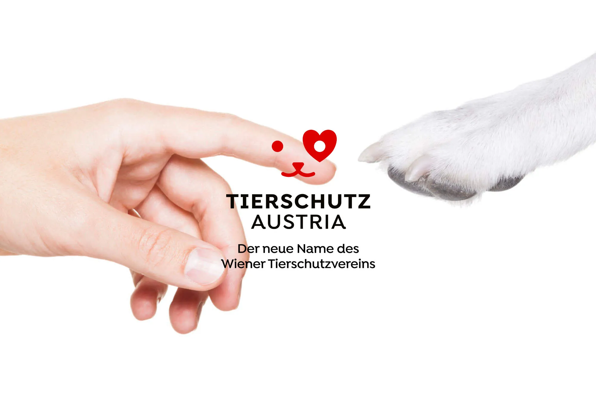 Tierschutz Austria brand campaign