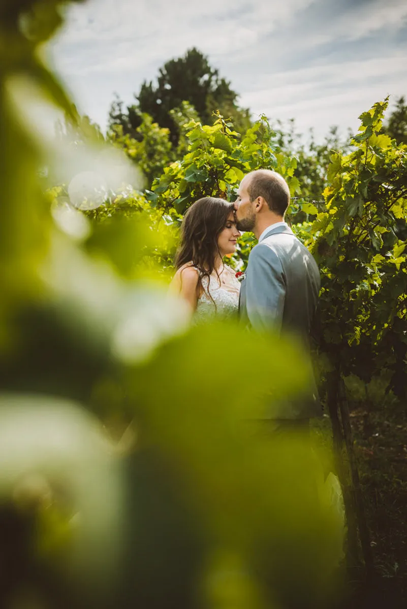 Weddings photograph