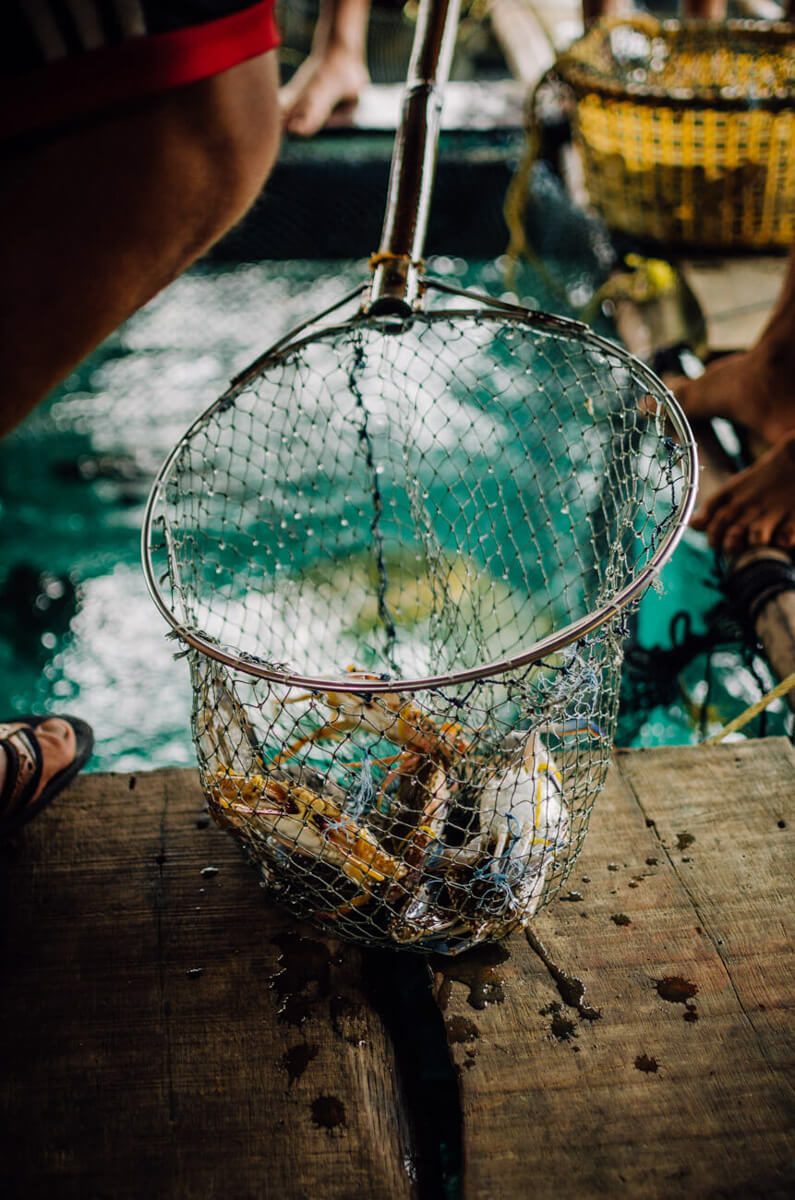 vietnam-fish
